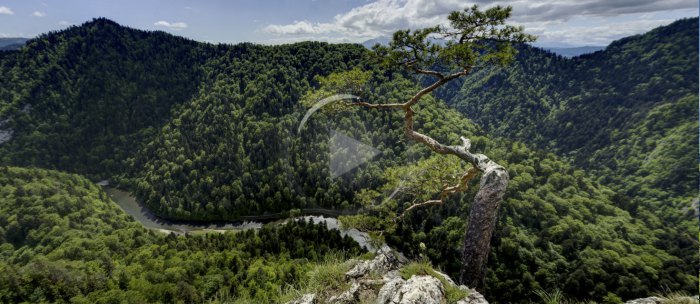 Widok ze szczytu Sokolica